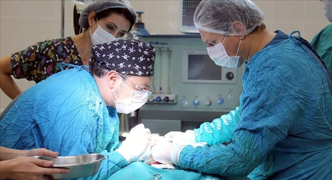 HAYVAN HASTANESİNDE ÜCRETSİZ MUAYENE - video