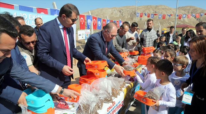 HAYVANLARA MİKROÇİP - video