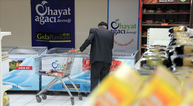 HAYAT AĞACI´NA HİNGEL BAĞIŞI - video