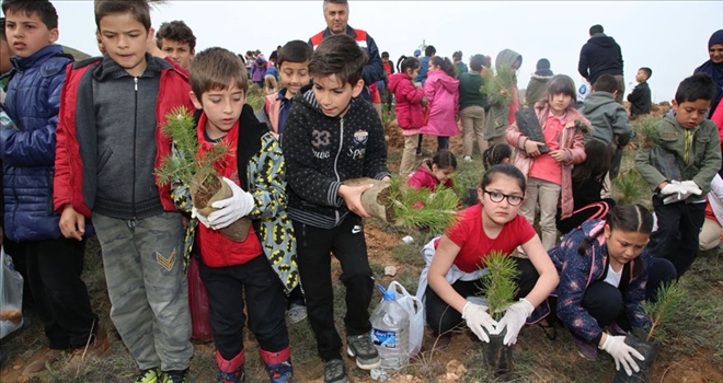 11 MİLYON FİDAN İLE REKORA İMZA ATILACAK