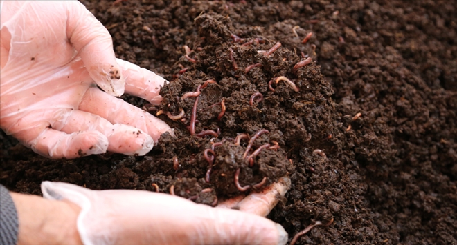 YILDA 100 TON GÜBRE ÜRETİLECEK - video