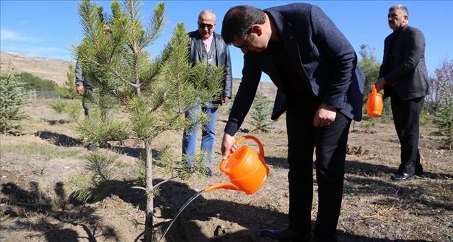 SİVAS YEŞİLE BÜRÜNECEK