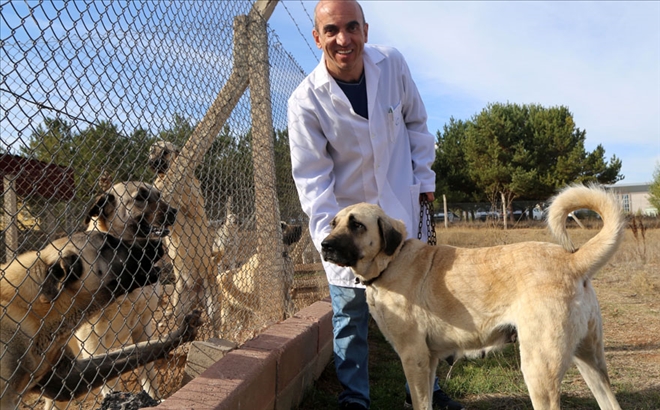 KANGAL´LAR DNA BARKODUYLA TANINACAK