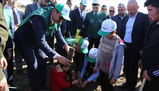 SİVAS´TAN 511 BİN FİDAN