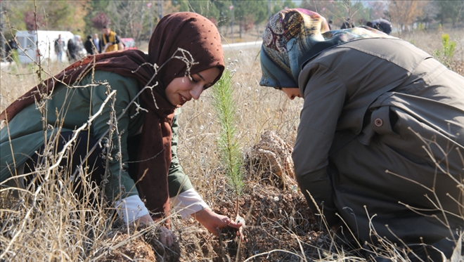 ÜNİVERSİTE´YE 5 BİN 500 FİDAN - video
