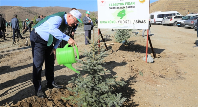 HER ÖĞRETMENE BİR FİDAN - video