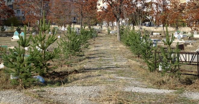 MEZARLIKTA ÇEVRE DÜZENLEMESİ - video
