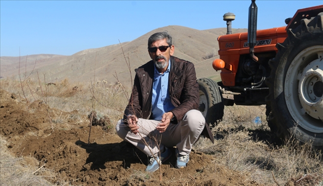 2 BİN BADEM FİDANI DİKTİLER