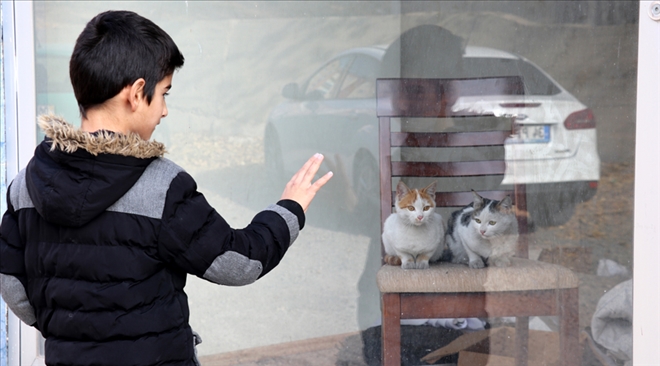 10 YAŞINDAKİ ENES, KEDİLERİN HAYATINI KURTARDI