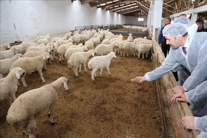 KÖYLERİN YAŞAM KALİTELERİ ARTTIRILACAK