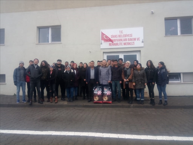 DERSİMİZ: HAYVAN HAKLARI