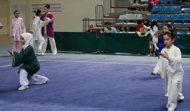 WUSHU´YA SİVAS DAMGASI