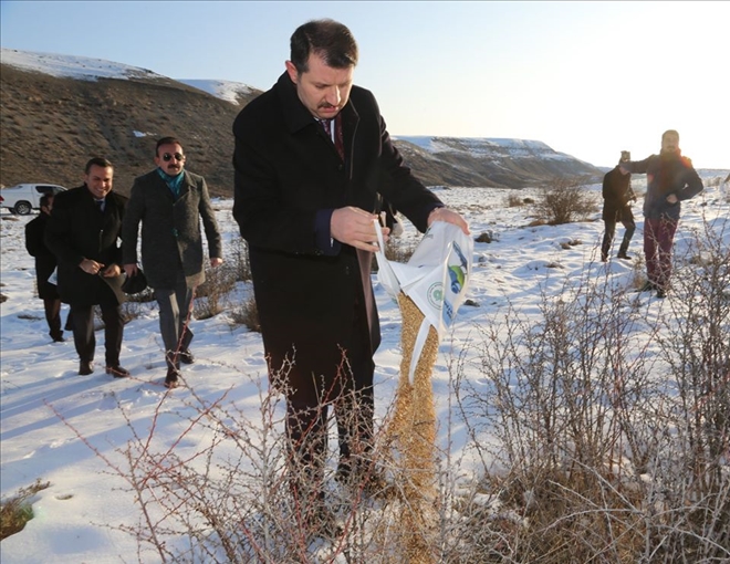 DOĞAYA 7 TON YEM BIRAKILACAK (VİDEO)