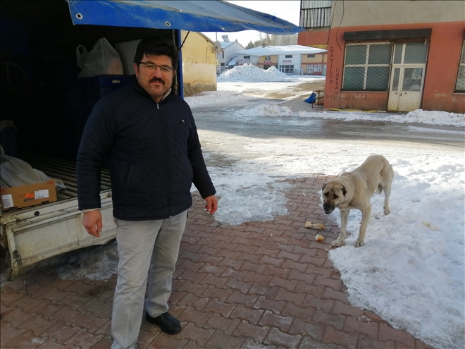 SEVİMLİ KÖPEK KAMERAYA YAKALANDI (VİDEO)