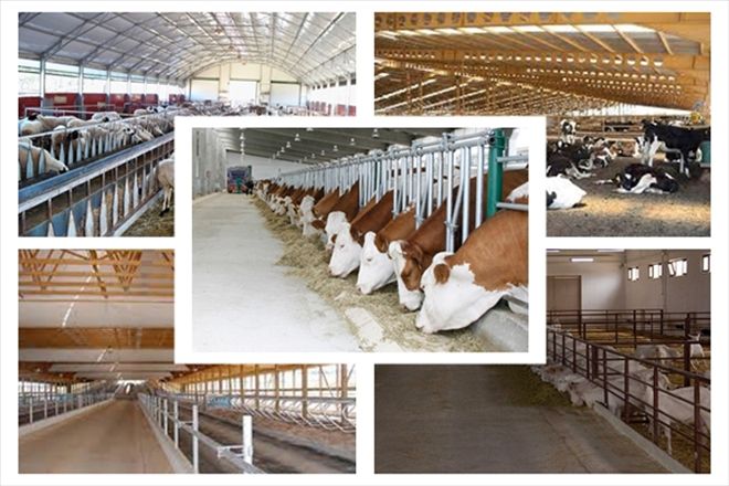 GENÇ ÇİFTÇİLER İÇİN DESTEK BAŞVURU SÜRESİ BAŞLADI