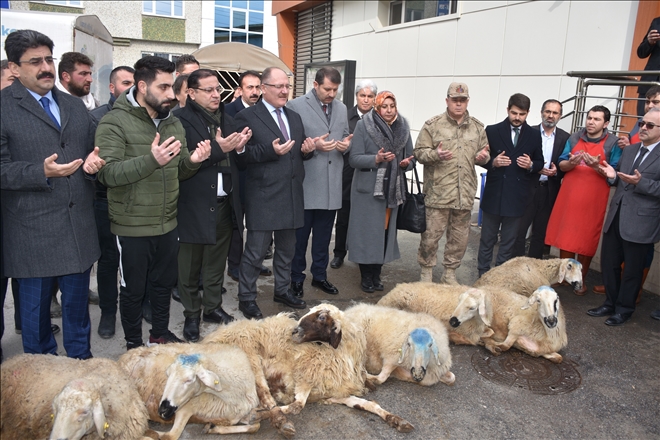 FELAKETLERE 41 KURBAN