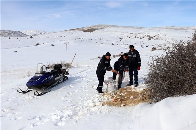 KARLI YOLLARI AŞIP YEM BIRAKTILAR (VİDEO)