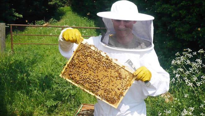 SİVAS, BALINA SAHİP ÇIKMALI