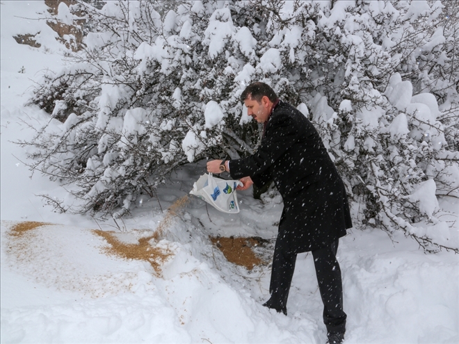 DOĞAYA YEM BIRAKILDI