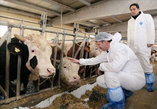 AŞILAMA KAMPANYASI BAŞLADI