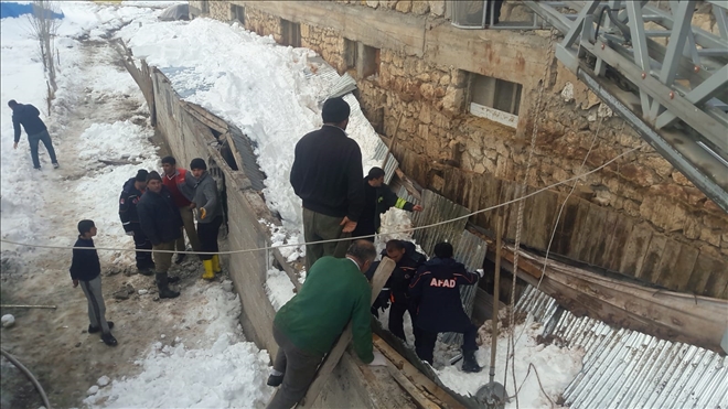 DANA KURTARMA OPERASYONU (VİDEO)