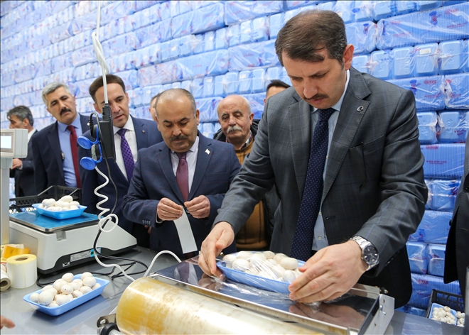 775 PROJEYE 209 MİLYON DESTEK (VİDEO)