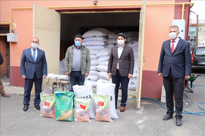 BUĞDAY TOHUMU DAĞITILDI