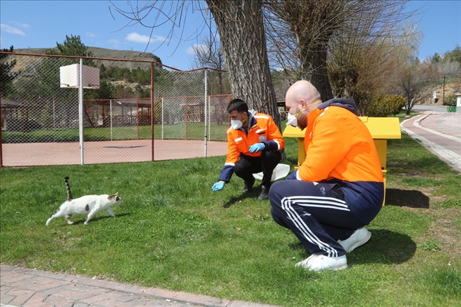 SOKAK HAYVANLARI UNUTULMADI