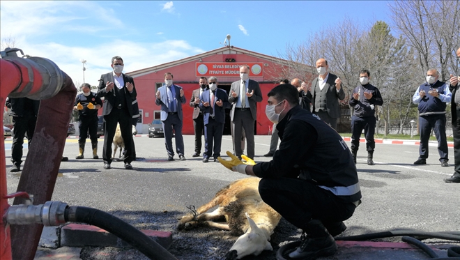 KORONAVİRÜSE KARŞI KURBAN KESTİLER