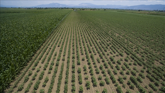 DSİ 2023 HEDEFİNE KOŞUYOR