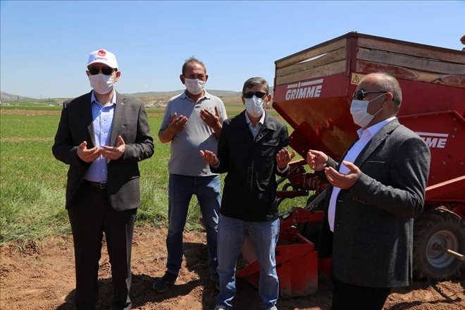 PATATESTE EN KALİTELİ  TOHUMU ÜRETİYORUZ