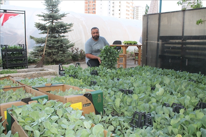 ASIRLIK SİVAS ÜRÜNLERİNİ YAŞATIYOR
