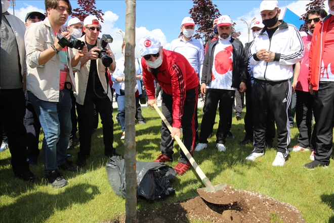 MİLLET BAHÇESİ AĞAÇLANIYOR