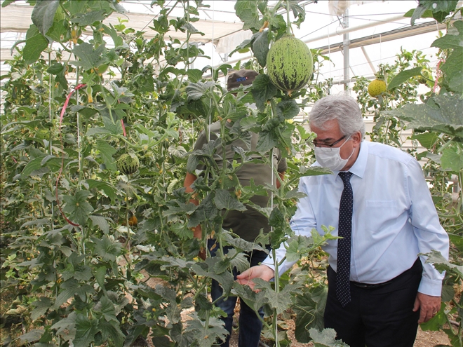 TOHUMCULUKTA TARİHİ ADIMLAR