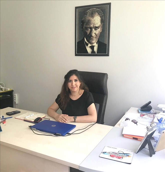 SAVUNMA SANAYİNDE ARAŞTIRMA YAPACAK