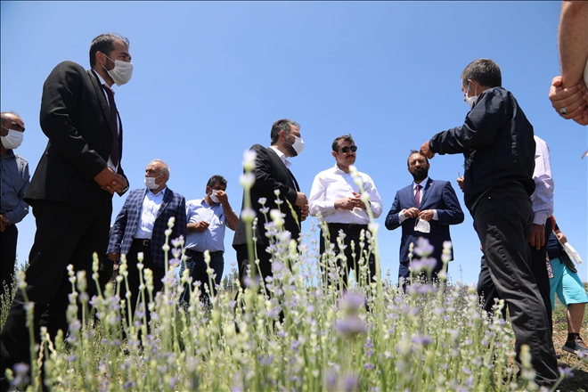 KIRSAL ALTYAPIYA 150 MİLYON LİRA HARCANACAK