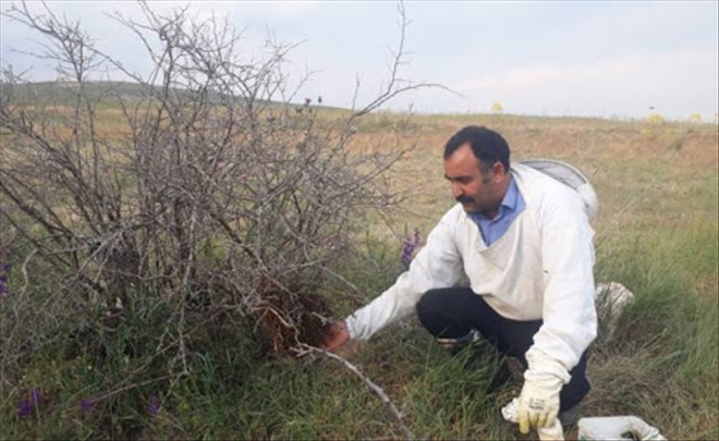 6 KOVANLA BAŞLADI, YILDA 1 TON BAL ÜRETİYOR
