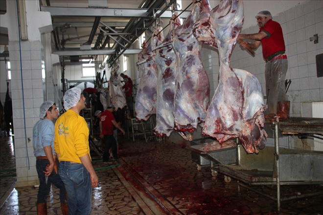 KURBAN KESİM YERLERİ BELİRLENDİ