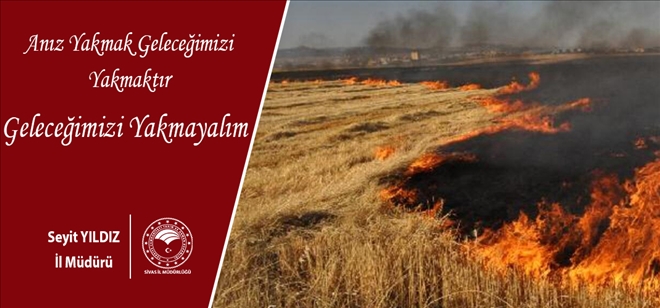 ANIZ YAKMAK,  GELECEĞİ YAKMAKTIR