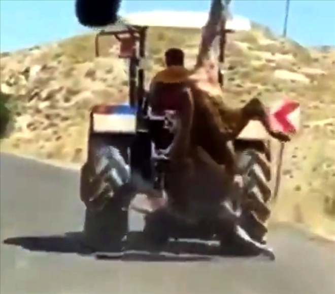 HAYVANA EZİYET CEZASIZ KALMADI