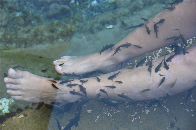 BAKANLIĞIN LİSTESİNDE SİVAS´TAN 3 TESİS YER ALDI