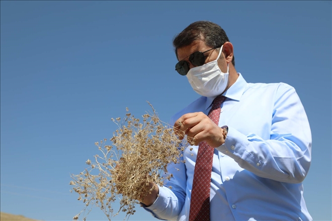 ?SİVAS, TARIMDA EN ÜRETKEN İLLERİNDEN BİRİ OLACAK´