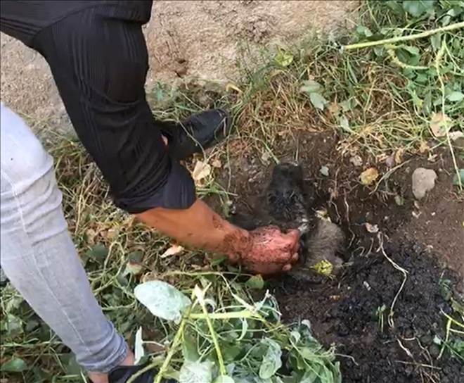 ATIK SU BORUSUNDAN KURTARILDI (VİDEO)