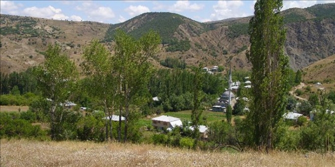 MANGAL VE SEMAVER YASAK