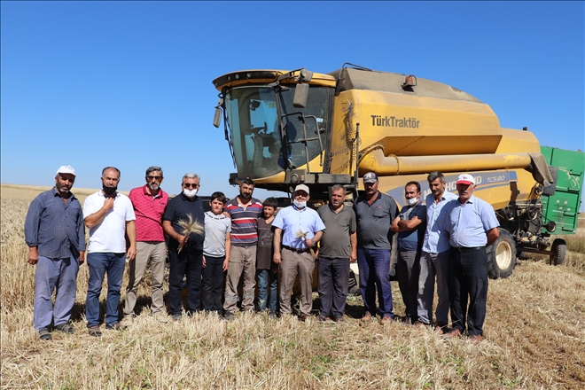 ANIZA DOĞRUDAN EKİM YAYGINLAŞIYOR