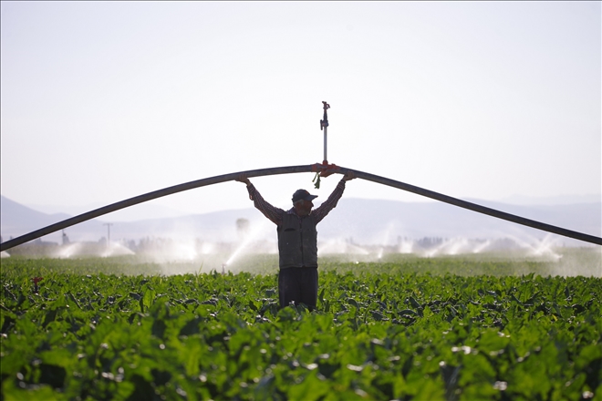 KONYA ŞEKER´DEN ÇİFTÇİYE BÜYÜK DESTEK