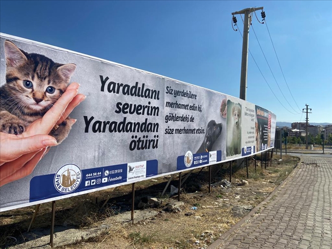 HAYVAN HAKLARI İÇİN ORTAK ÇALIŞMA