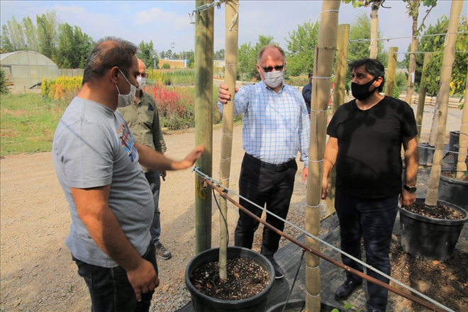 YEŞİL ALANLARA YENİ SULAMA SİSTEMİ