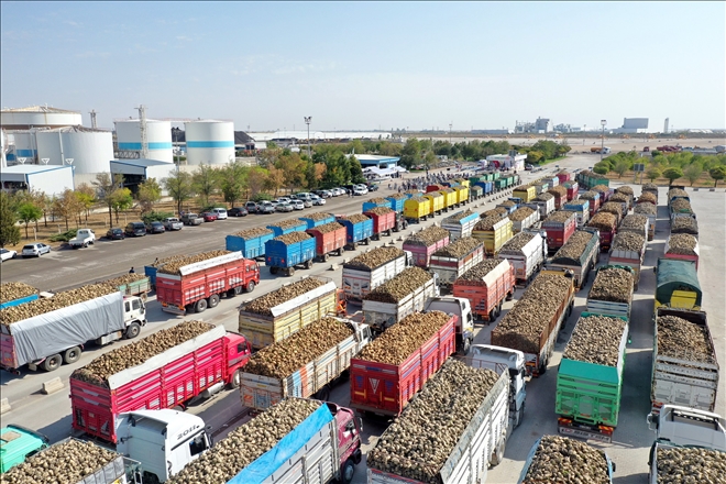 PANCAR ALIM KAMPANYASI BAŞLADI