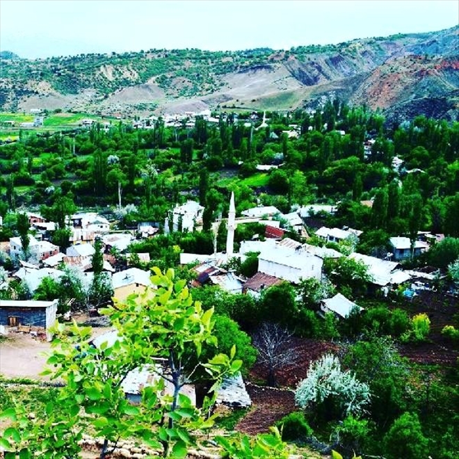 İKİ KÖYDE KORONAVİRÜS KARANTİNASI